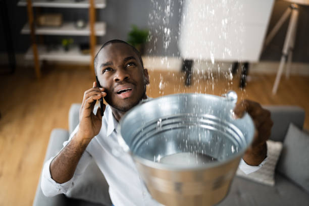 Best Water damage restoration near me  in Seis Lagos, TX