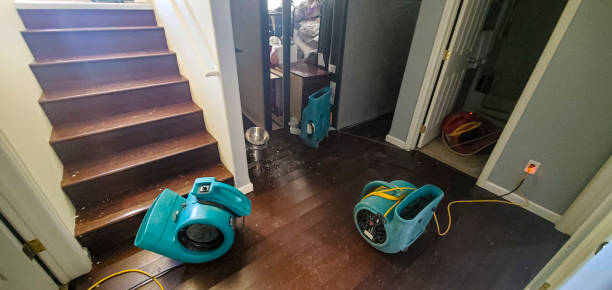 Best Local water damage restoration  in Seis Lagos, TX