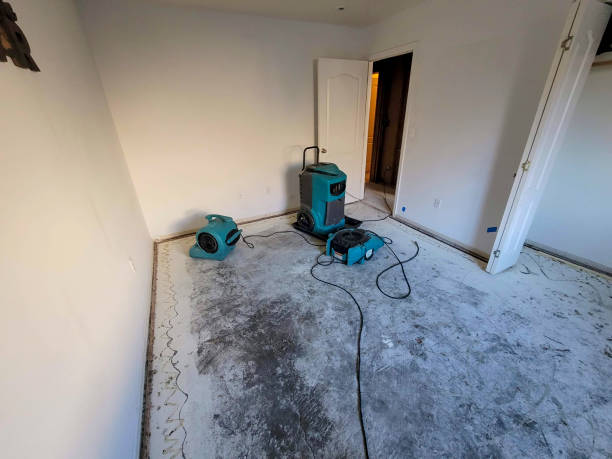 Best Carpet water damage restoration  in Seis Lagos, TX