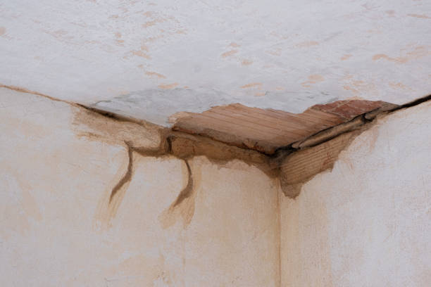 Best Flood damage cleanup  in Seis Lagos, TX