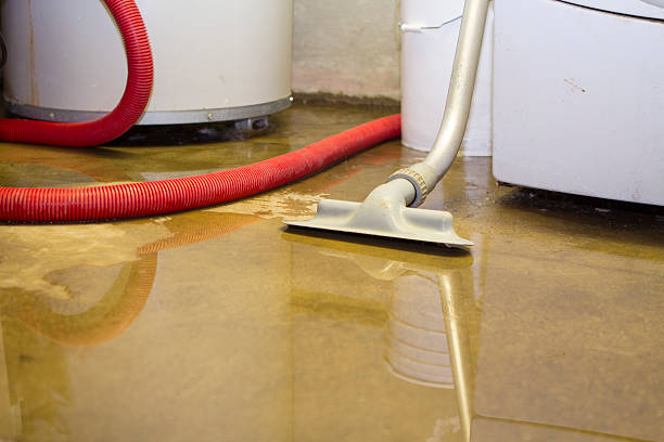 Best Basement water damage restoration  in Seis Lagos, TX