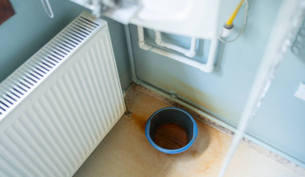 Best Water damage restoration near me  in Seis Lagos, TX