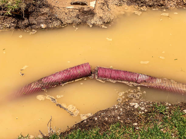 Best Sewage cleanup and water damage restoration  in Seis Lagos, TX