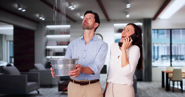 Best Ceiling water damage repair  in Seis Lagos, TX