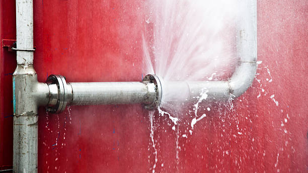 Best Professional water damage repair  in Seis Lagos, TX